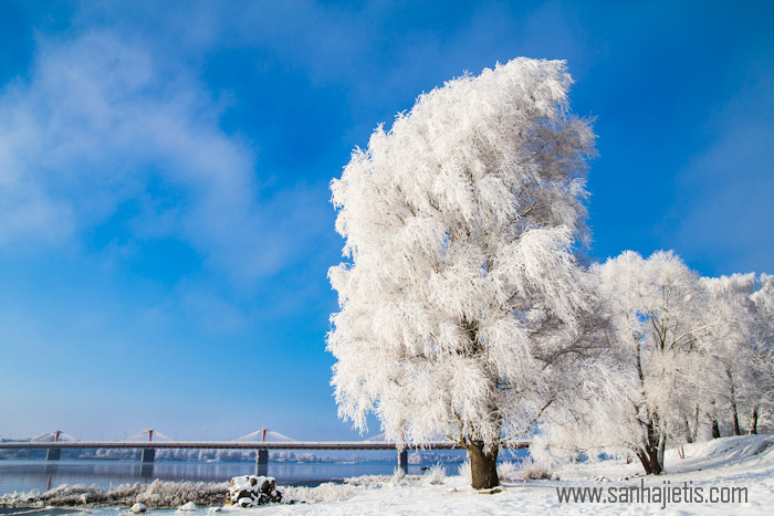 Rīga 2012.12.08