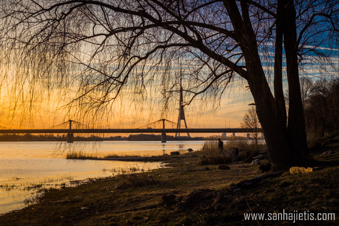 Saulriets Rīgā pie Dienvidu tilta