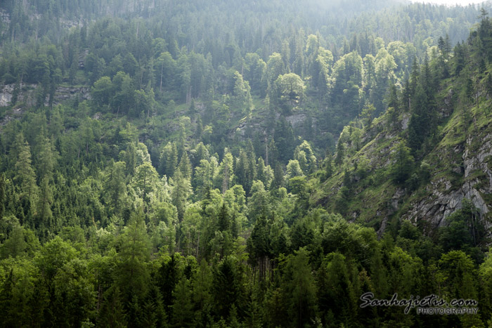 Wimbachklamm – kalnu upe Wimbach Vācijā