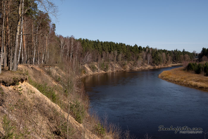 Gauja