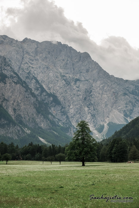 Logar Valley