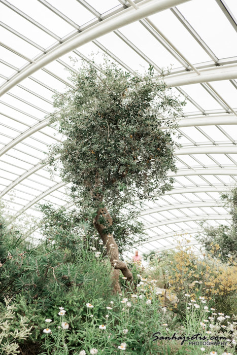 The National Botanic Garden of Wales