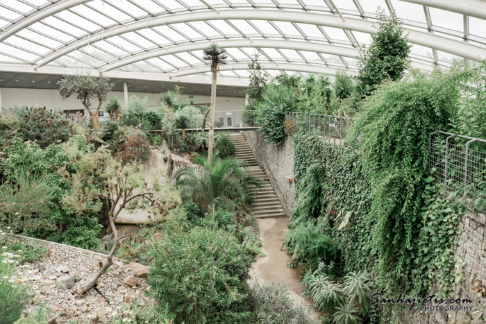 The National Botanic Garden of Wales