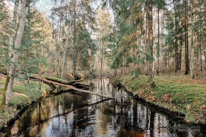 Gārsenes pils parks