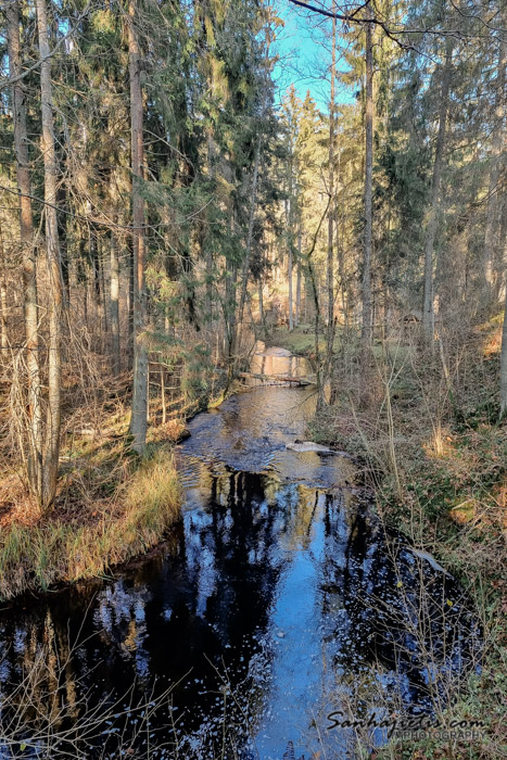 Gārsenes pils parks