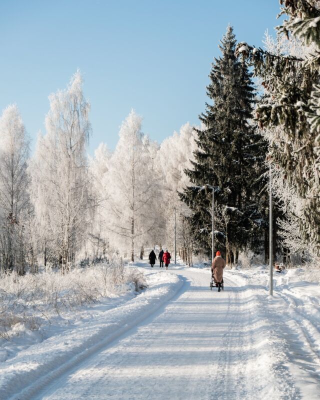 Arī pie -25 ir jāizkustās mežaparkā.

#jekabpils #mēžaparks ##žiema #minus25 
@jekabpilslv