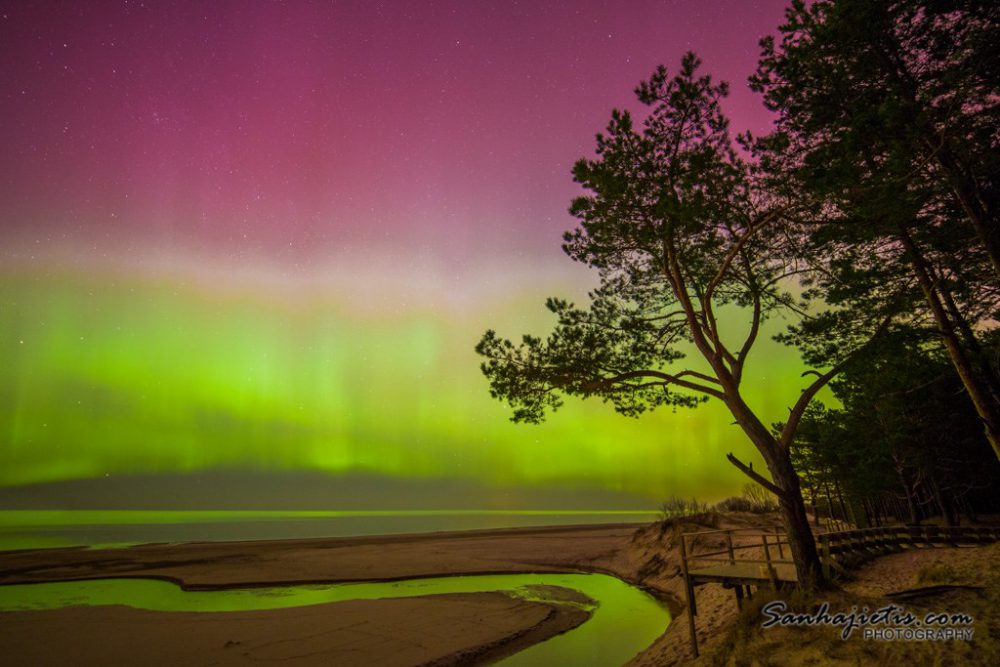 Ziemelblazma Latvija