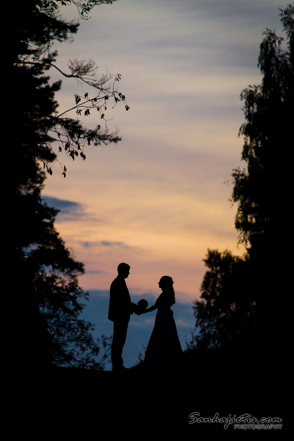 Jaunais paris saulrieta