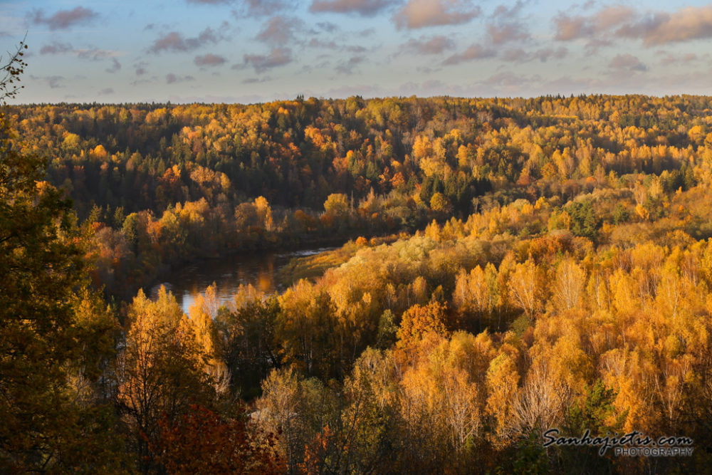 Zelta Rudens Sigulda